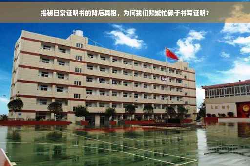 揭秘日常证明书的背后真相，为何我们频繁忙碌于书写证明？
