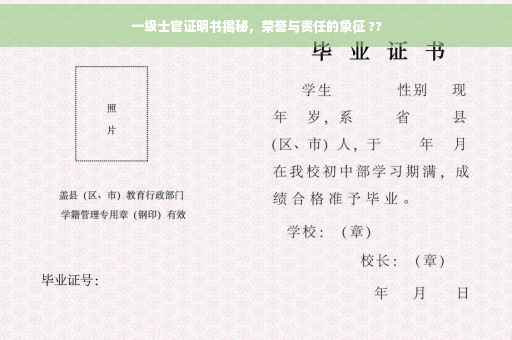 一级士官证明书揭秘，荣誉与责任的象征 ??
