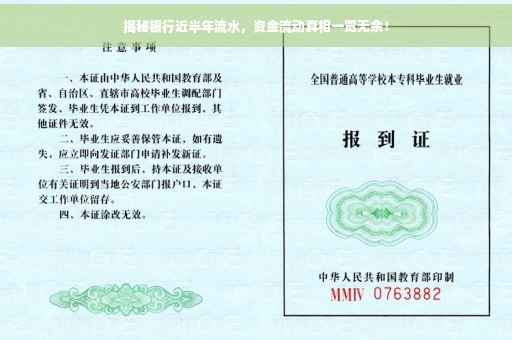 揭秘银行近半年流水，资金流动真相一览无余！