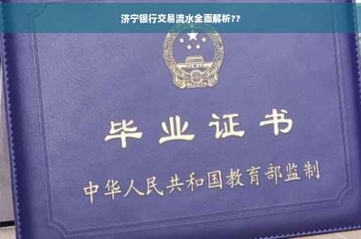 济宁银行交易流水全面解析??