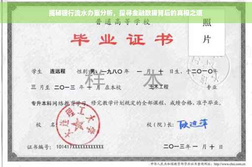揭秘银行流水办案分析，探寻金融数据背后的真相之道