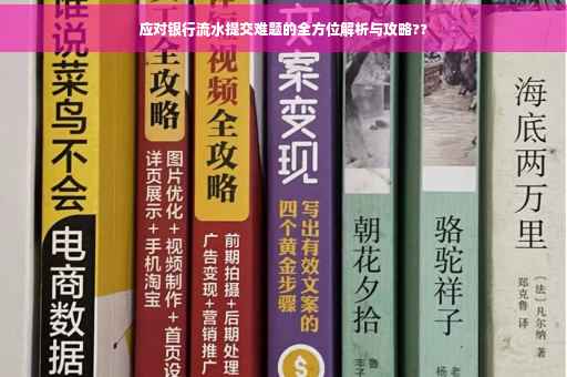 应对银行流水提交难题的全方位解析与攻略??