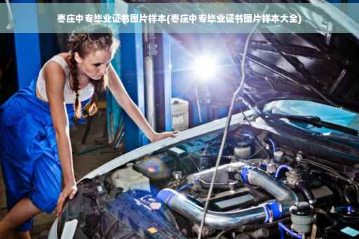 枣庄中专毕业证书图片样本(枣庄中专毕业证书图片样本大全)