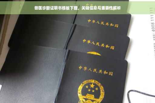 兽医诊断证明书模板下载，关键信息与重要性解析