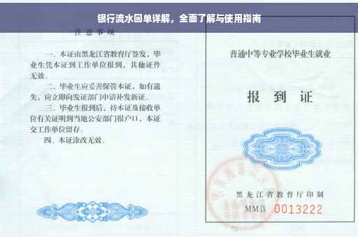 银行流水回单详解，全面了解与使用指南