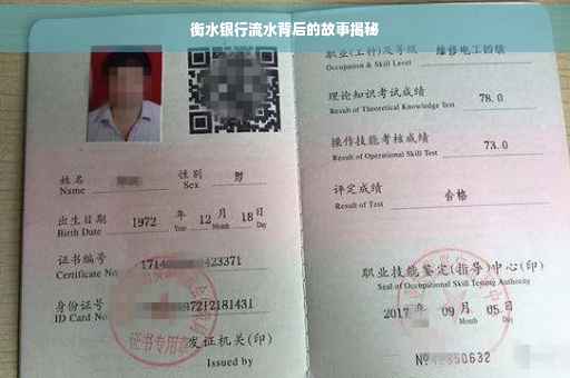 衡水银行流水背后的故事揭秘