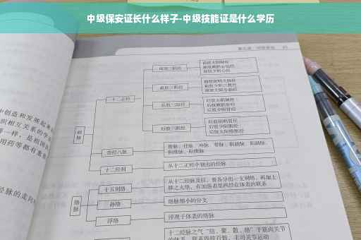 中级保安证长什么样子-中级技能证是什么学历