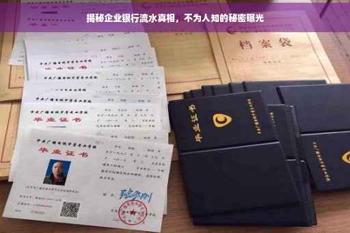 揭秘企业银行流水真相，不为人知的秘密曝光