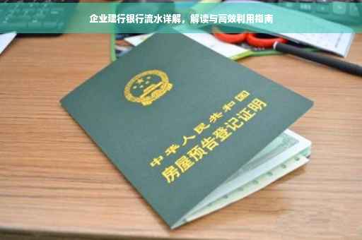 企业建行银行流水详解，解读与高效利用指南