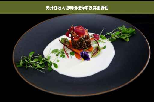 无分红收入证明模板详解及其重要性