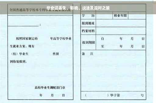 毕业证丢失，影响、说法及应对之策