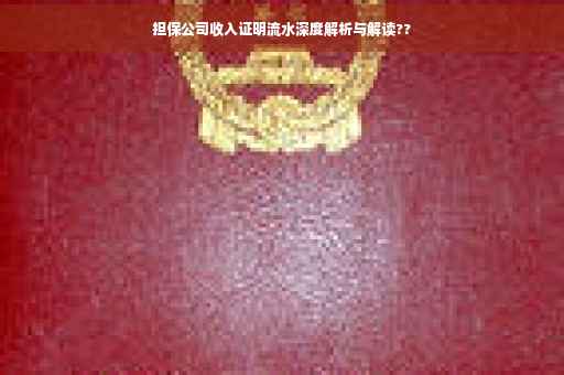 担保公司收入证明流水深度解析与解读??