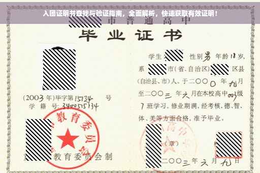 入团证明书查找与验证指南，全面解析，快速获取有效证明！
