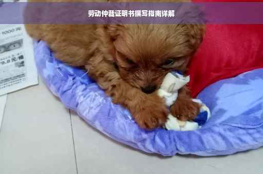 劳动仲裁证明书撰写指南详解