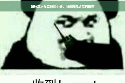 银行流水报告解读手册，洞悉财务动态的指南