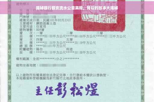 揭秘银行薪资流水公章真相，背后的故事大揭秘