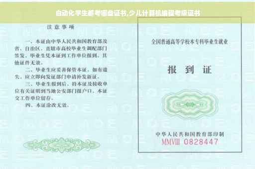自动化学生都考哪些证书,少儿计算机编程考级证书