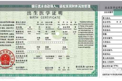 银行流水自动导入，轻松实现财务高效管理