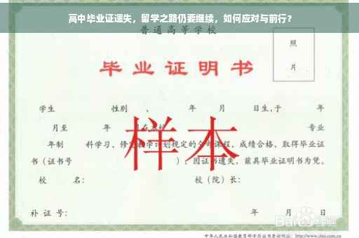 高中毕业证遗失，留学之路仍要继续，如何应对与前行？