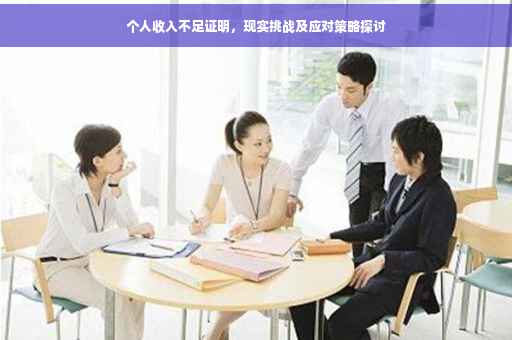 个人收入不足证明，现实挑战及应对策略探讨