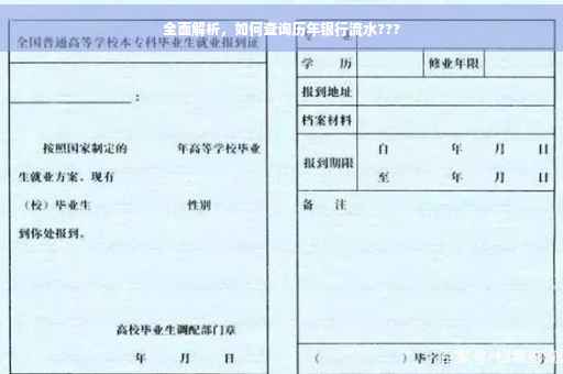 全面解析，如何查询历年银行流水???