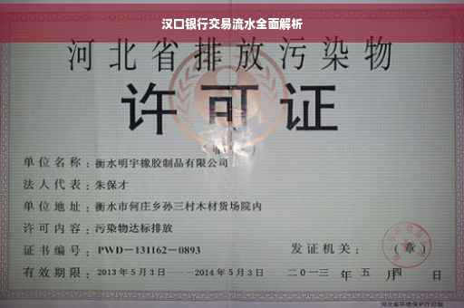 汉口银行交易流水全面解析