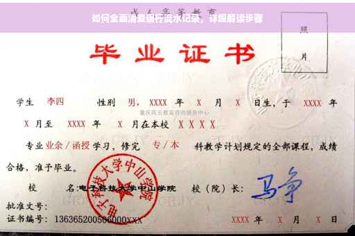 如何全面清查银行流水记录，详细解读步骤