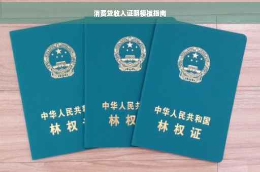 消费贷收入证明模板指南