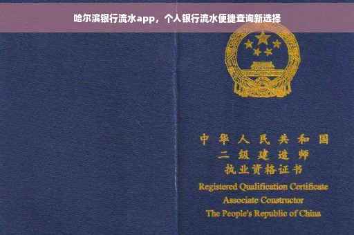 哈尔滨银行流水app，个人银行流水便捷查询新选择