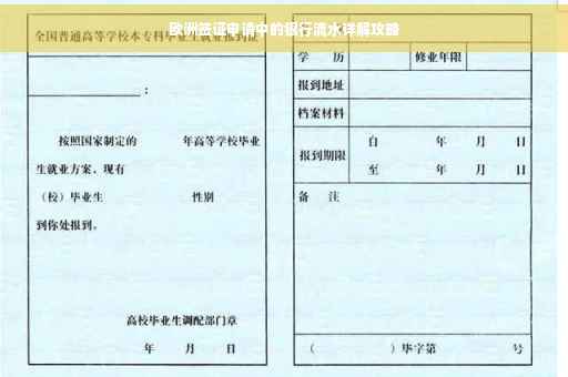 欧洲签证申请中的银行流水详解攻略