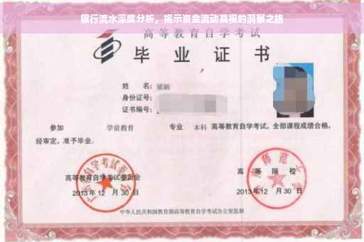 银行流水深度分析，揭示资金流动真相的洞察之旅