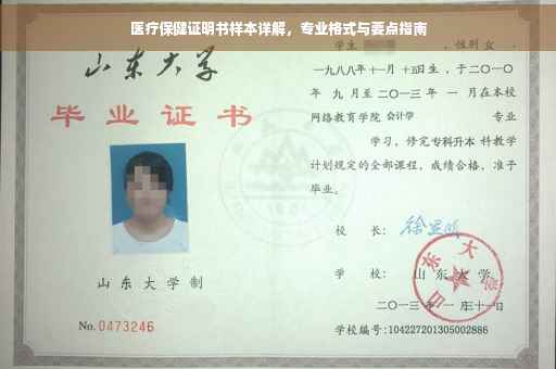 医疗保健证明书样本详解，专业格式与要点指南