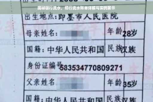 揭秘银行流水，招行流水账单详解与实例展示