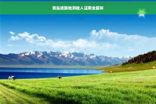 青岛核酸检测收入证明全解析