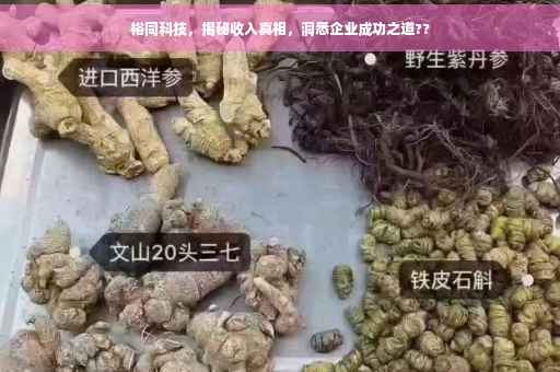 裕同科技，揭秘收入真相，洞悉企业成功之道??