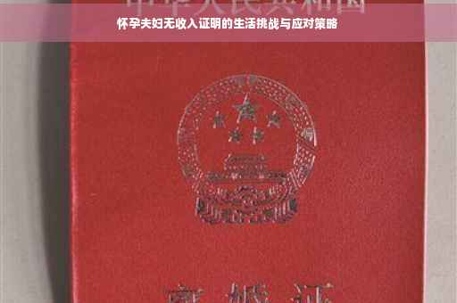 怀孕夫妇无收入证明的生活挑战与应对策略