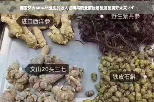 西安交大MBA毕业生的收入证明与职业前景展望展望美好未来 ??✨