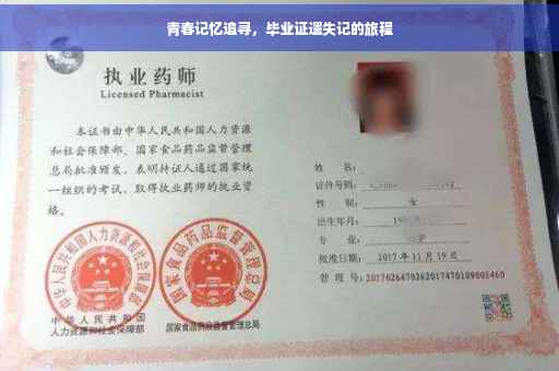 青春记忆追寻，毕业证遗失记的旅程
