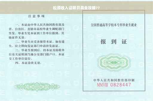 松原收入证明开具全攻略??