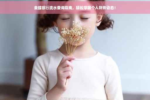 金蝶银行流水查询指南，轻松掌握个人财务动态！