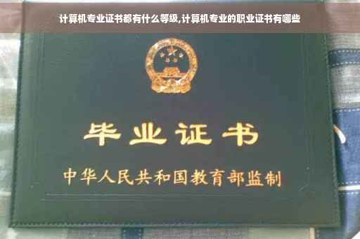 计算机专业证书都有什么等级,计算机专业的职业证书有哪些