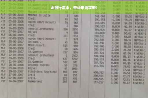 无银行流水，签证申请攻略！