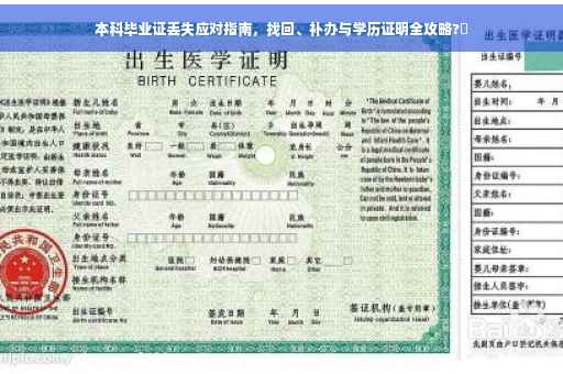 本科毕业证丢失应对指南，找回、补办与学历证明全攻略?✨