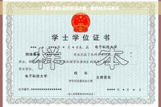 毕业证遗失后的职场之路，我的经历与启示