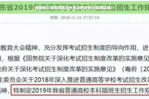 揭秘银行查询家属流水背后的故事与真相探秘??