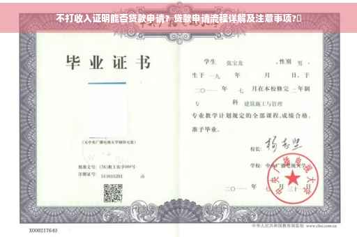 不打收入证明能否贷款申请？贷款申请流程详解及注意事项?✨