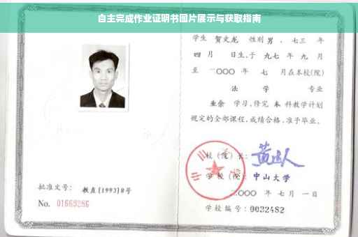 自主完成作业证明书图片展示与获取指南