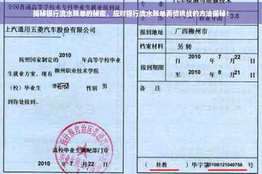 揭秘银行流水账单的秘密，应对银行流水账单两倍挑战的方法揭秘！