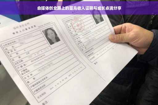 自媒体创业路上的菜鸟收入证明与成长点滴分享