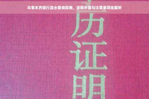 乌鲁木齐银行流水查询指南，详细步骤与注意事项全解析